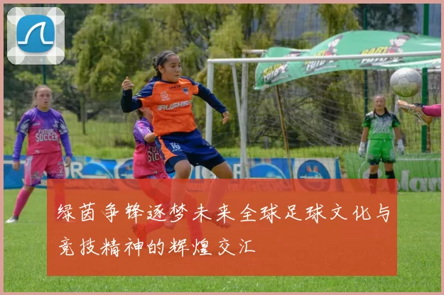 绿茵争锋逐梦未来全球足球文化与竞技精神的辉煌交汇