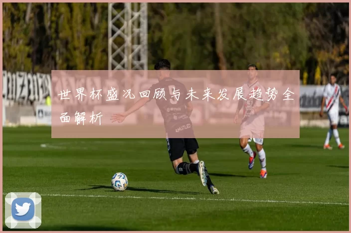 世界杯盛况回顾与未来发展趋势全面解析