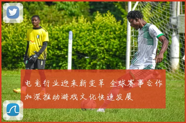 电竞行业迎来新变革 全球赛事合作加深推动游戏文化快速发展