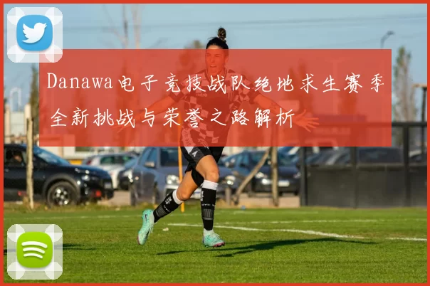 Danawa电子竞技战队绝地求生赛季全新挑战与荣誉之路解析