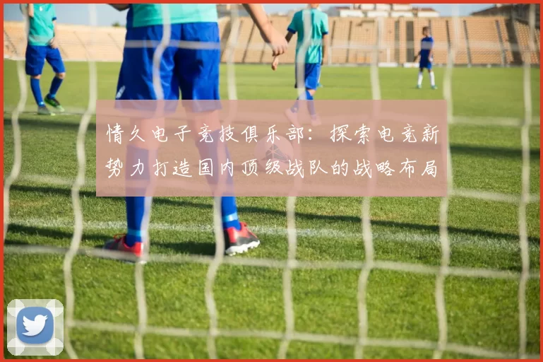 情久电子竞技俱乐部：探索电竞新势力打造国内顶级战队的战略布局与未来展望