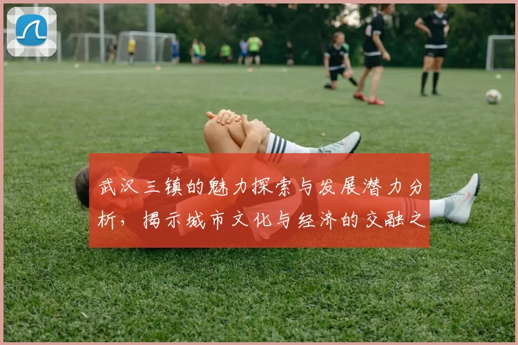 武汉三镇的魅力探索与发展潜力分析，揭示城市文化与经济的交融之美