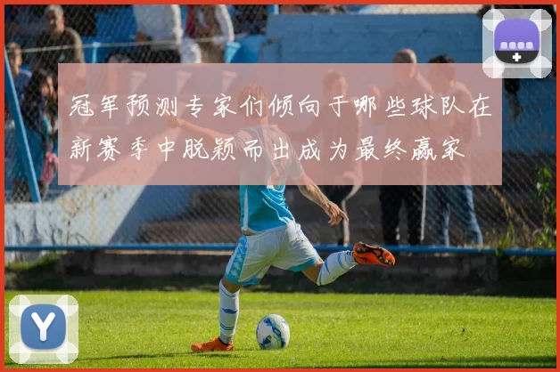 冠军预测专家们倾向于哪些球队在新赛季中脱颖而出成为最终赢家