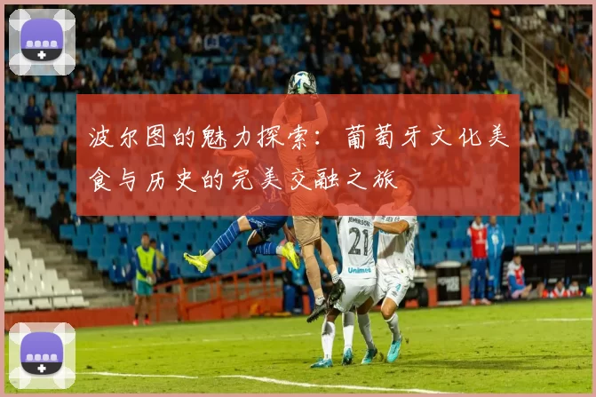 波尔图的魅力探索：葡萄牙文化美食与历史的完美交融之旅