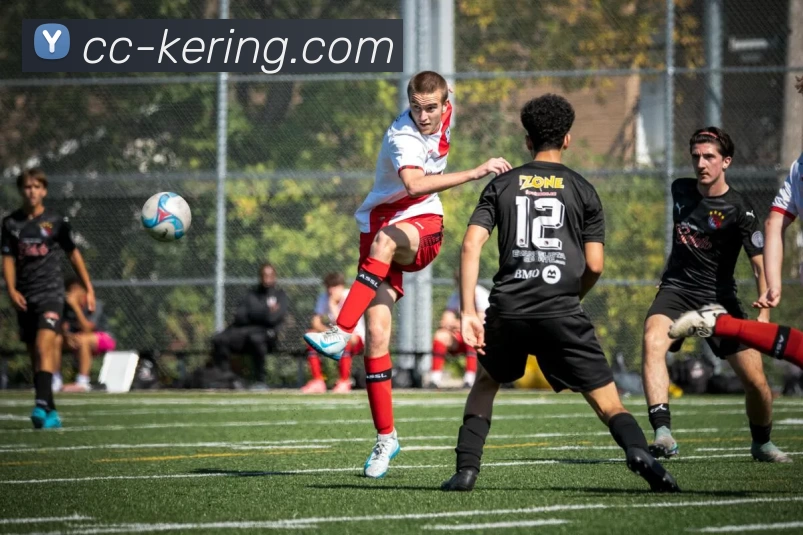 App Interface Preview